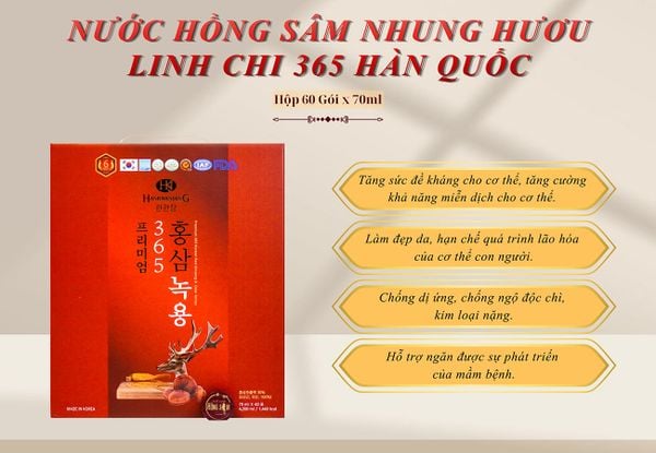 Hình ảnh bài viết