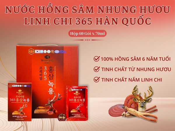 Hình ảnh bài viết