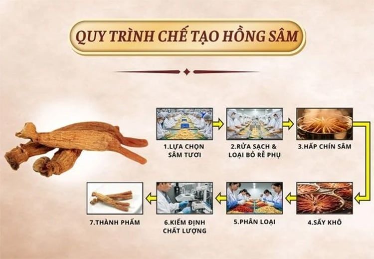 Người bị bệnh tim nên ưu tiên lựa chọn các sản phẩm từ Hồng Sâm để dễ sử dụng hơn