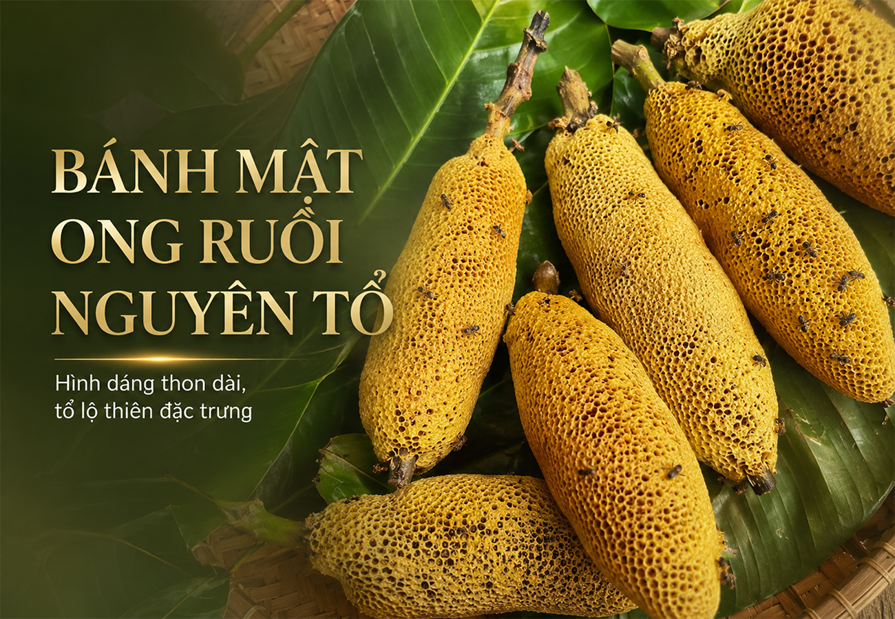 Hình ảnh bài viết