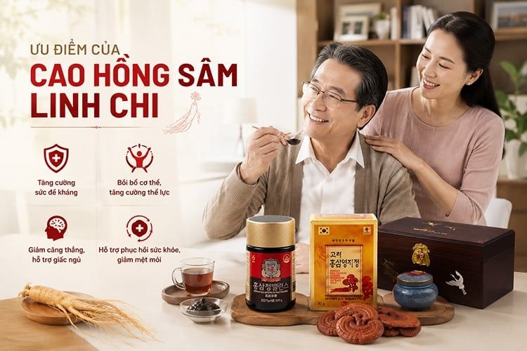 Ưu điểm nổi bật của cao Hồng Sâm kết hợp Linh Chi