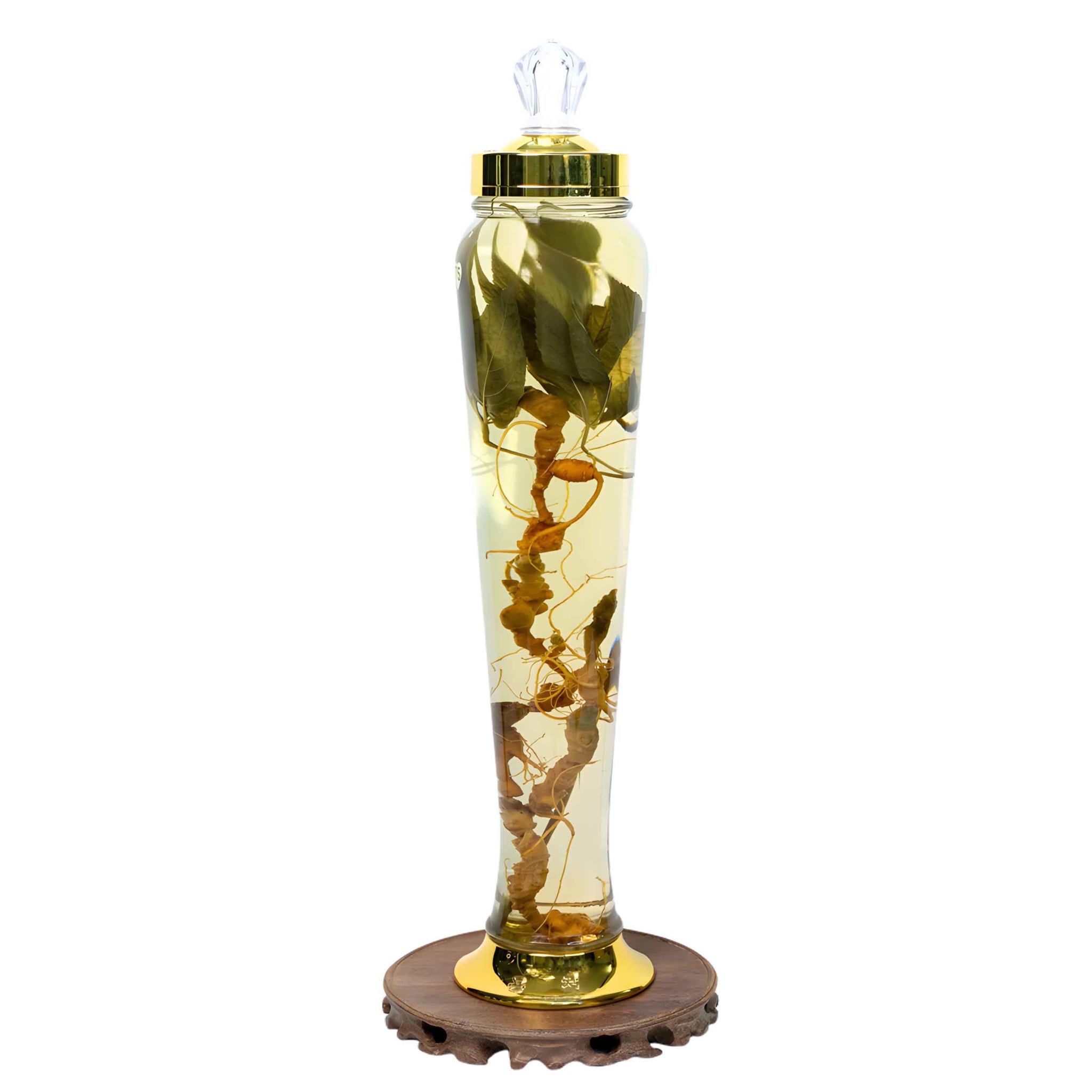 Bình Sâm Ngọc Linh Nguyên Củ Và Lá 3 Lít