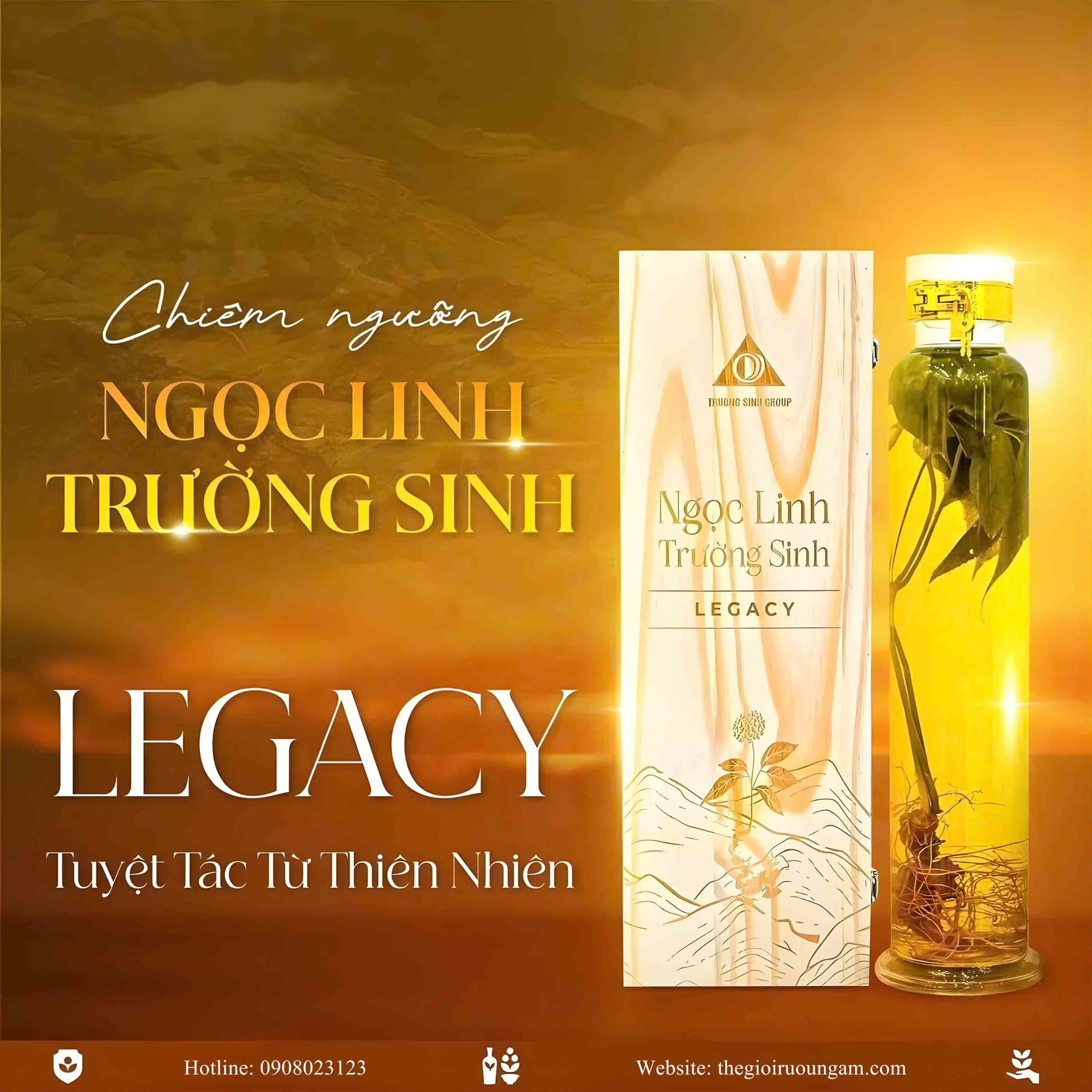 Bình sâm Ngọc Linh Legacy 2 lít – quà biếu cao cấp