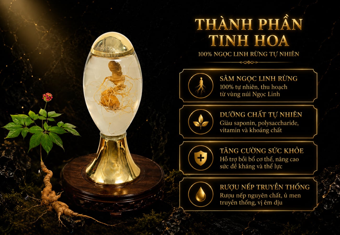 Hình ảnh bài viết