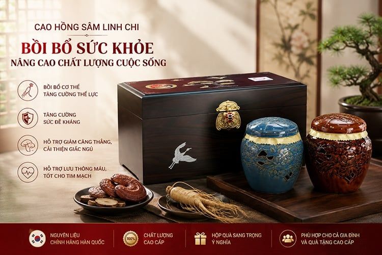 Cao sâm Linh Chi dòng cao cấp kết hợp với các thảo dược quý