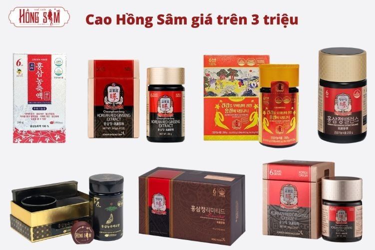 Hình ảnh bài viết