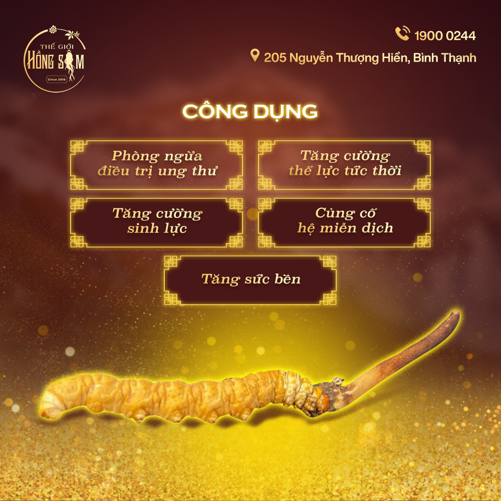 Các công dụng chính của Đông Trùng Hạ Thảo Tây Tạng