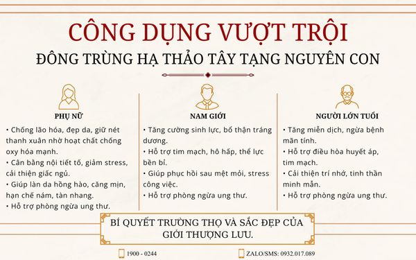 Hình ảnh bài viết