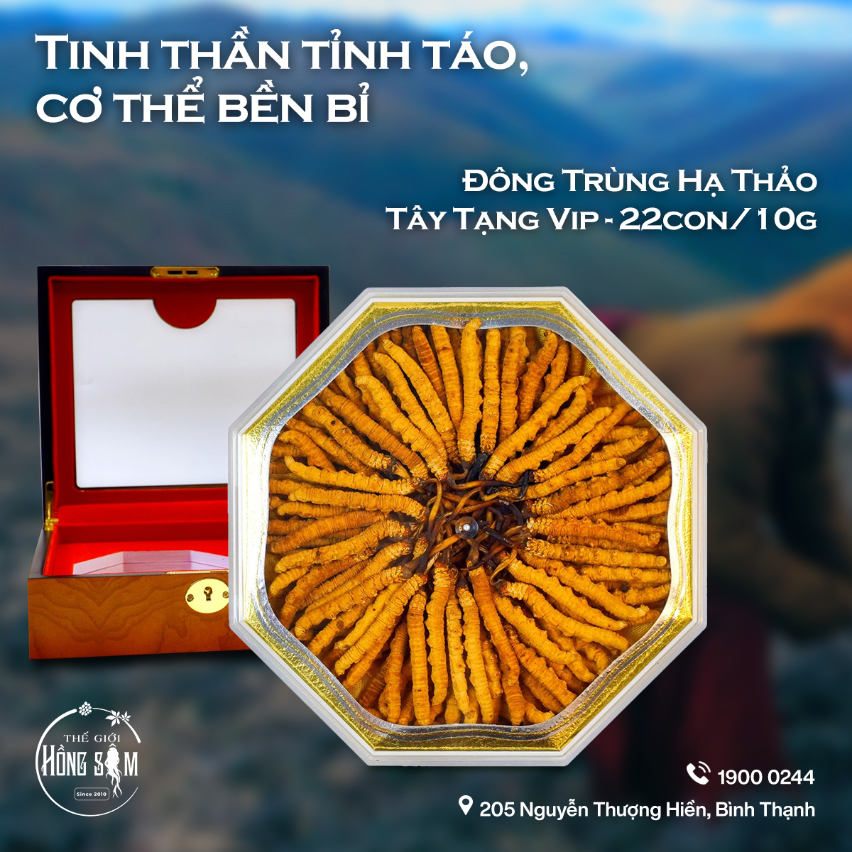 Đông Trùng Hạ Thảo Tây Tạng Vip – 22 con/10g