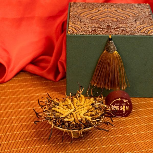 Hình ảnh bài viết