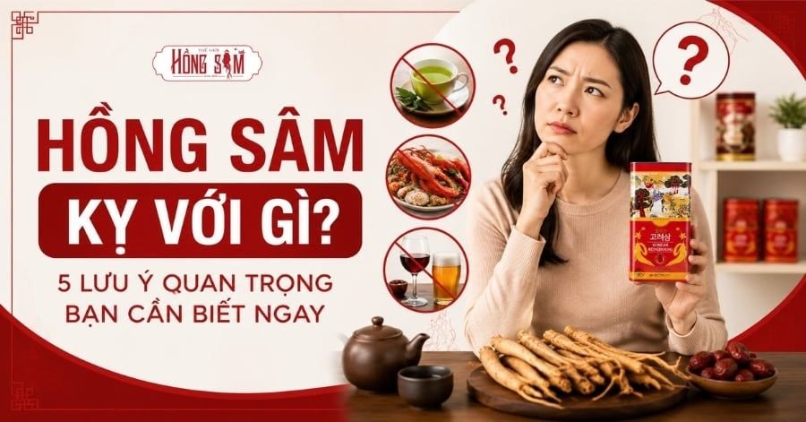 Hồng Sâm kỵ với gì? 5 lưu ý quan trọng bạn cần biết.