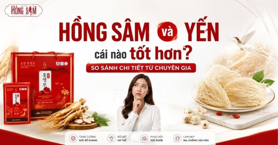 Hồng Sâm và Yến cái nào tốt hơn?