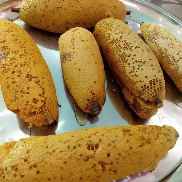 Mật Ong Ruồi Rừng Nguyên Chất Thu Hoạch Tự Nhiên
