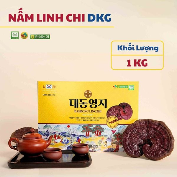 Nấm linh chi Daedong chính hãng Hàn Quốc.