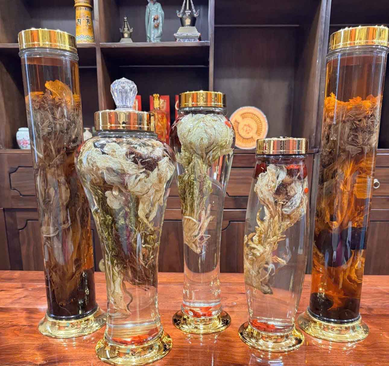 Tửu Hoa Thiên Sơn Tuyết Liên