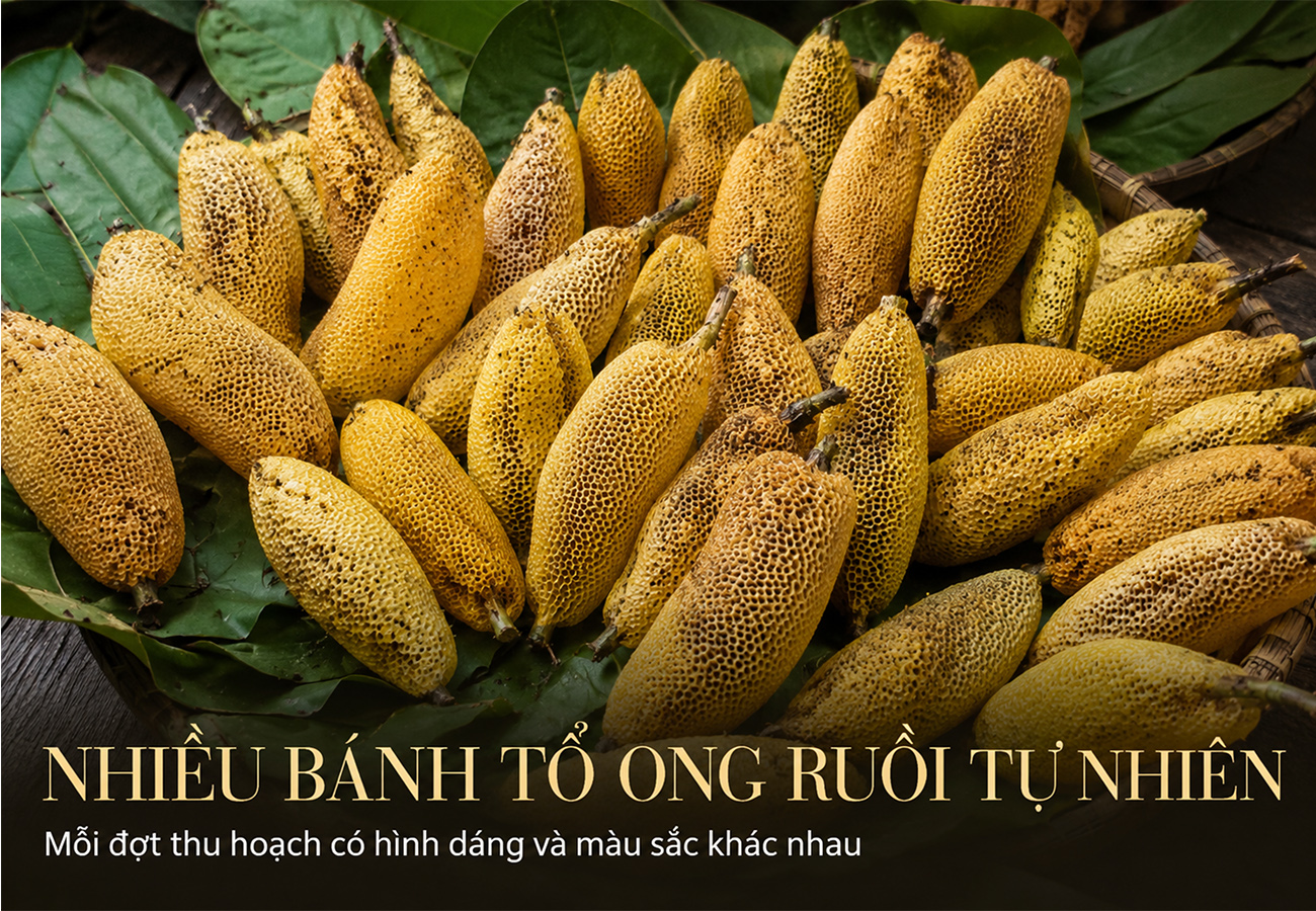 Hình ảnh bài viết