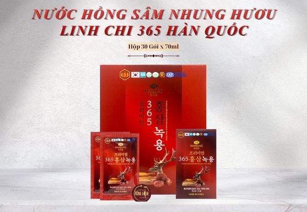 Hình ảnh bài viết