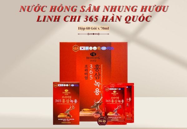Hình ảnh bài viết