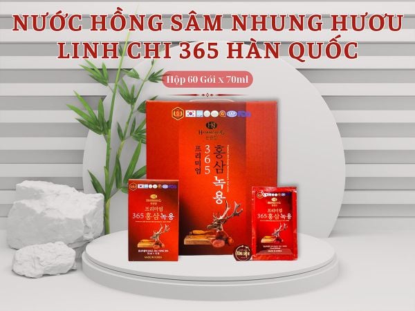 Hình ảnh bài viết