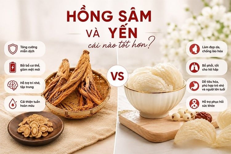 Lựa chọn Hồng Sâm hoặc Yến tùy thuộc vào nhu cầu sử dụng