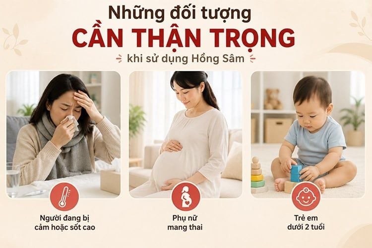 Những đối tượng cần chú ý khi sử dụng Hồng Sâm