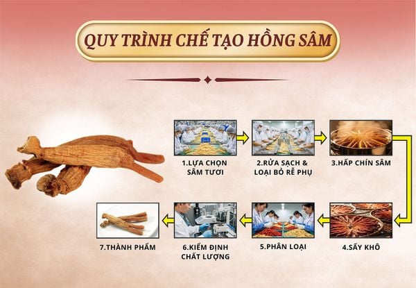 Hình ảnh bài viết