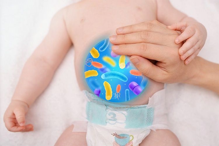 Hệ tiêu hóa của trẻ 1 tuổi còn non nớt và nhạy cảm