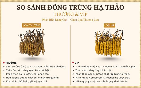 Hình ảnh bài viết
