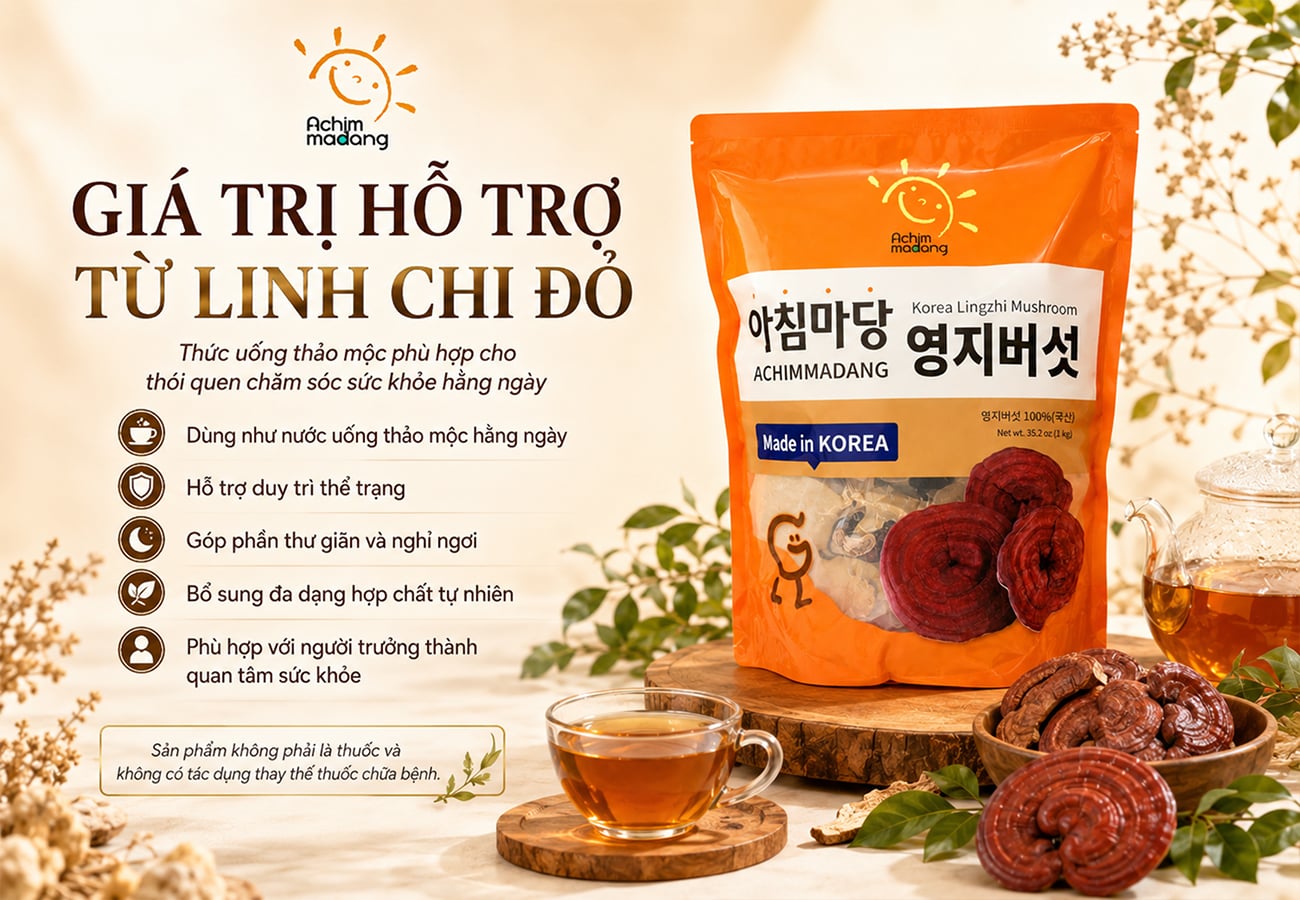 Công dụng hỗ trợ của Nấm Linh Chi Đỏ Achimmadang