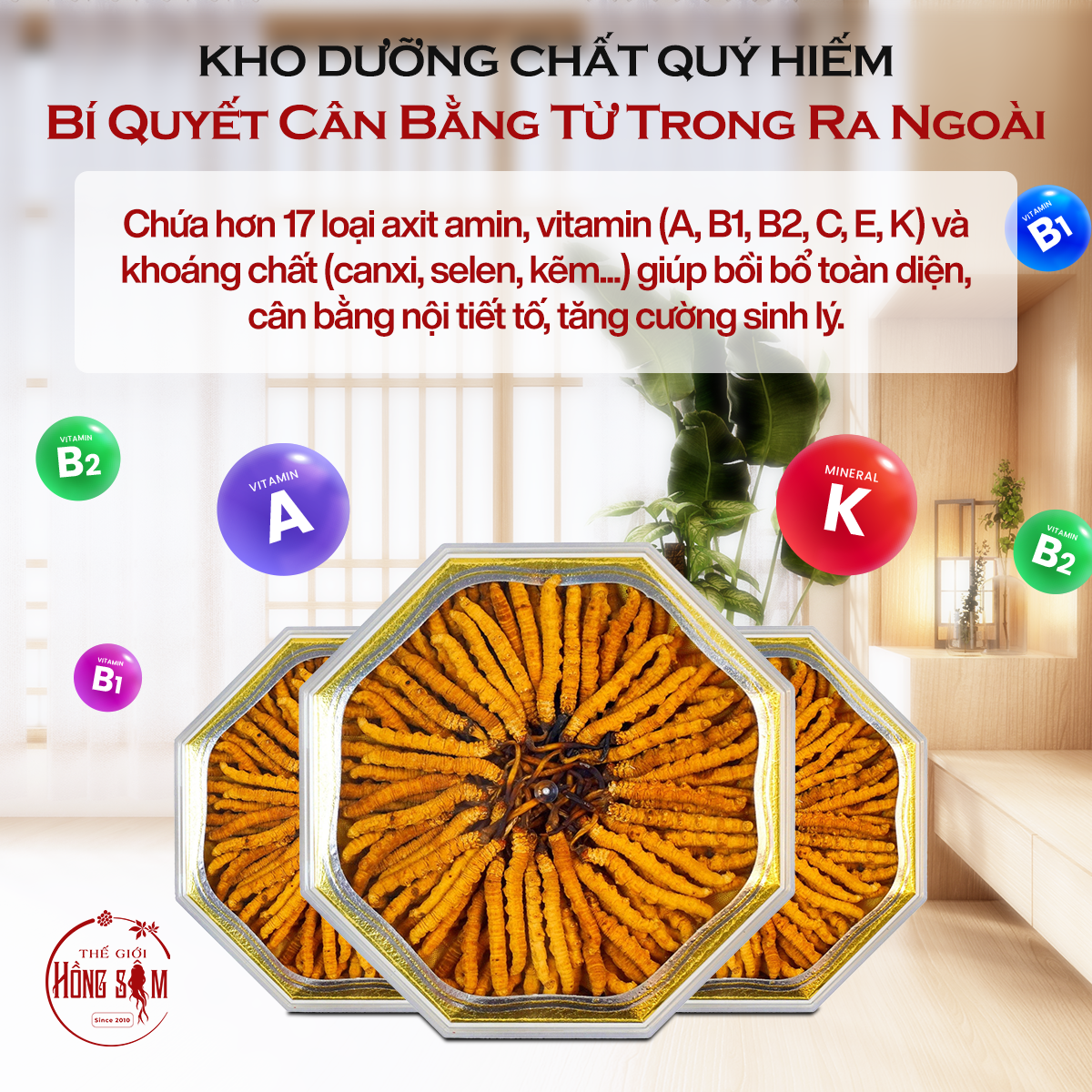 Thành phần và hoạt chất quý giá có trong Đông Trùng Hạ Thảo Tây Tạng Vip