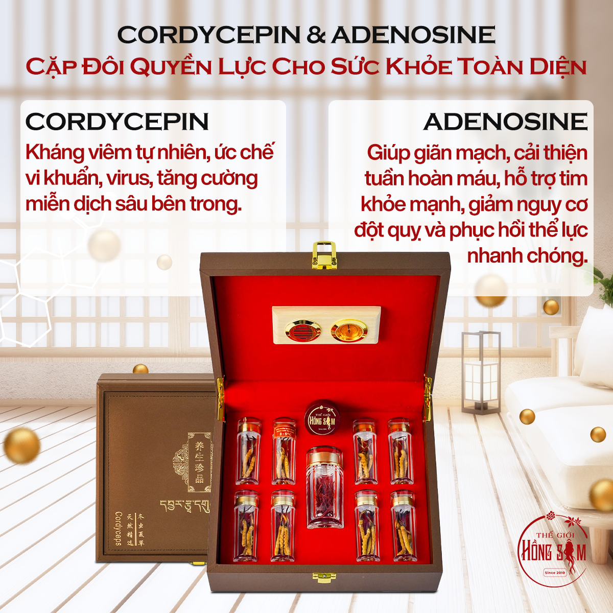 Thành phần nổi bật có trong Đông Trùng Hạ Thảo Tây Tạng