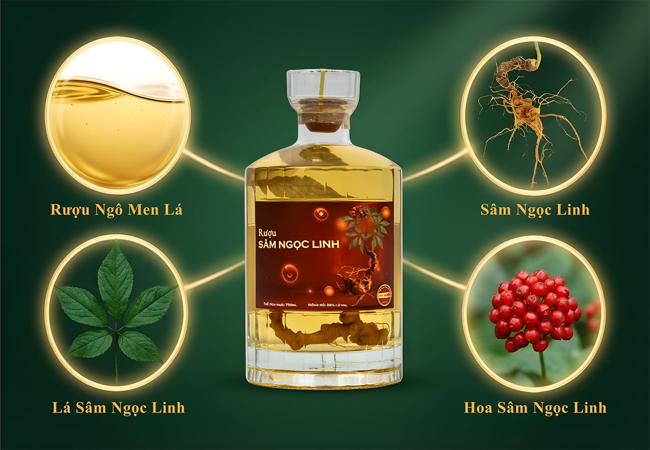 Hình ảnh bài viết