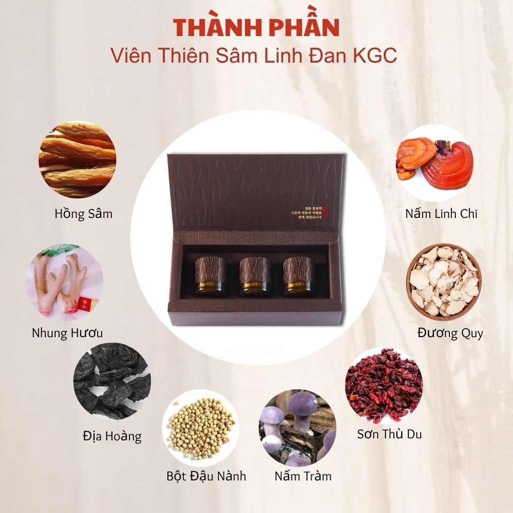 Công thức đại bổ từ những dược liệu quý