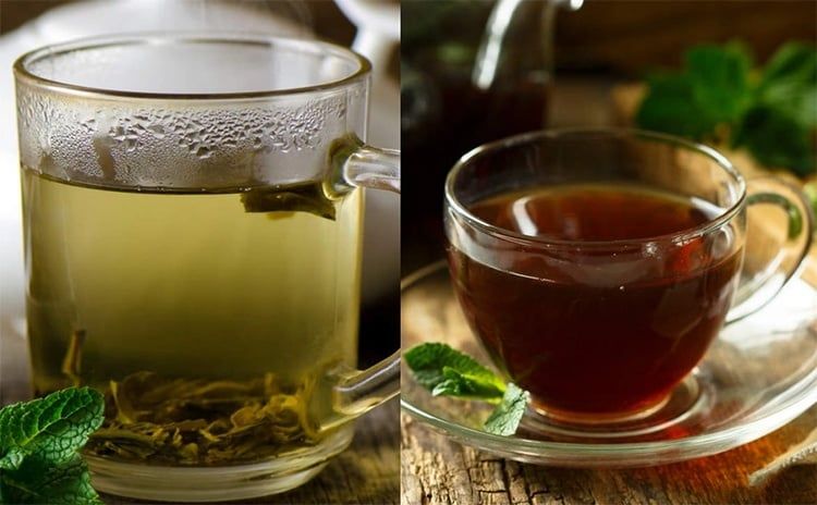 Tannin chứa trong trà làm ảnh hưởng đến khả năng hấp thu hoạt chất trong Hồng Sâm