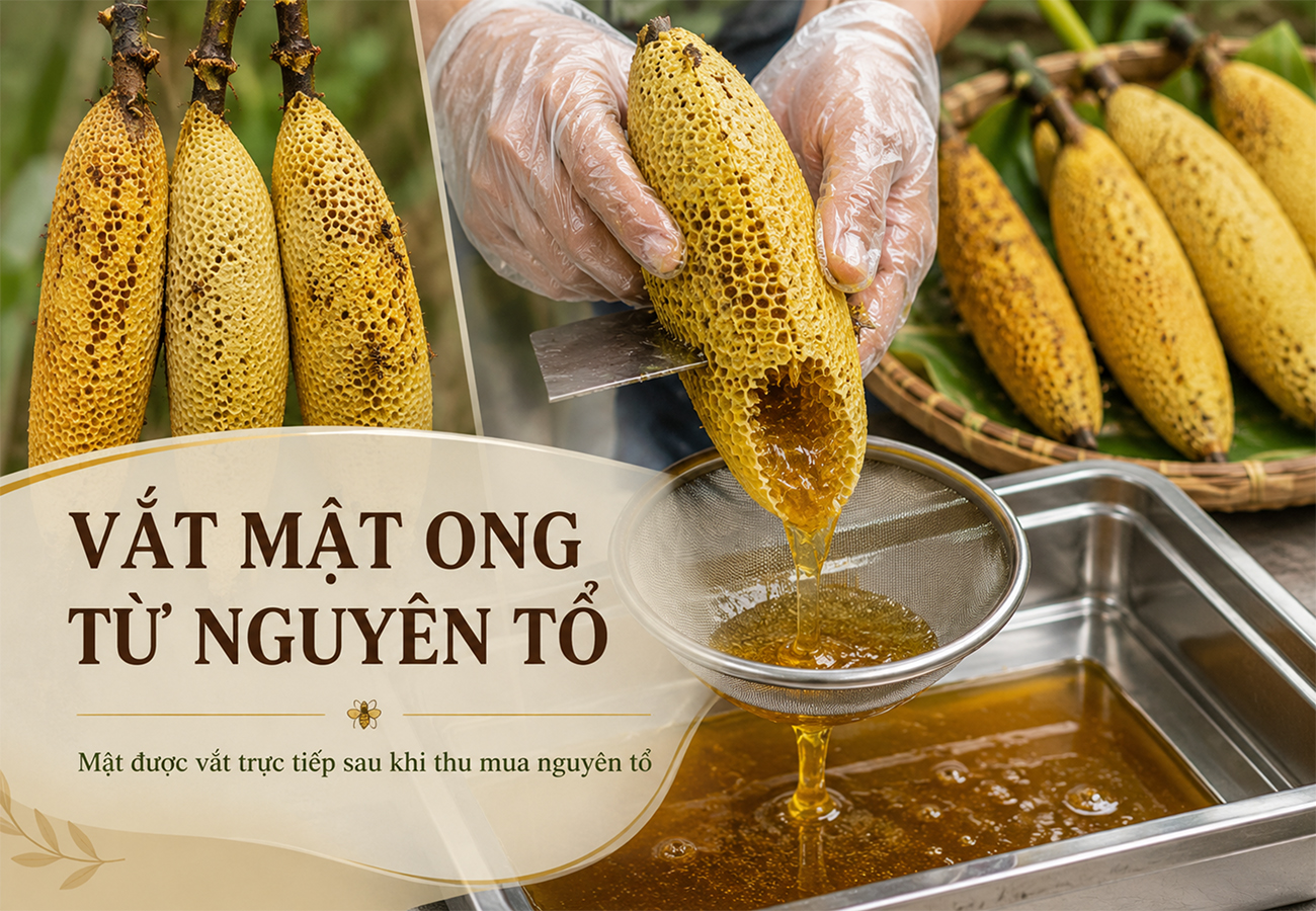 Hình ảnh bài viết
