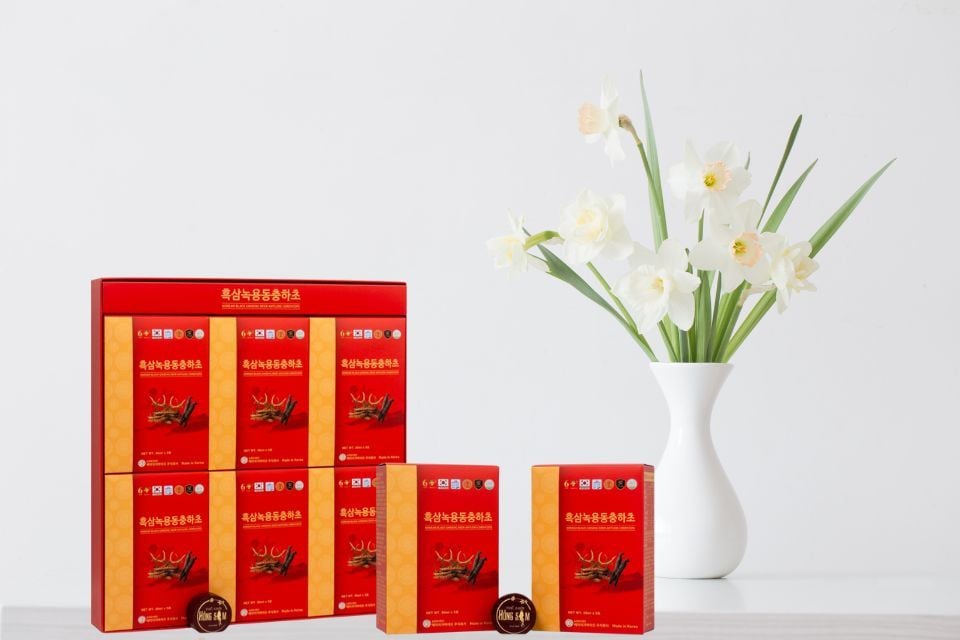 Vì sao nên chọn nước Hắc Sâm Nhung Hươu Đông Trùng Hạ Thảo Ginseng King