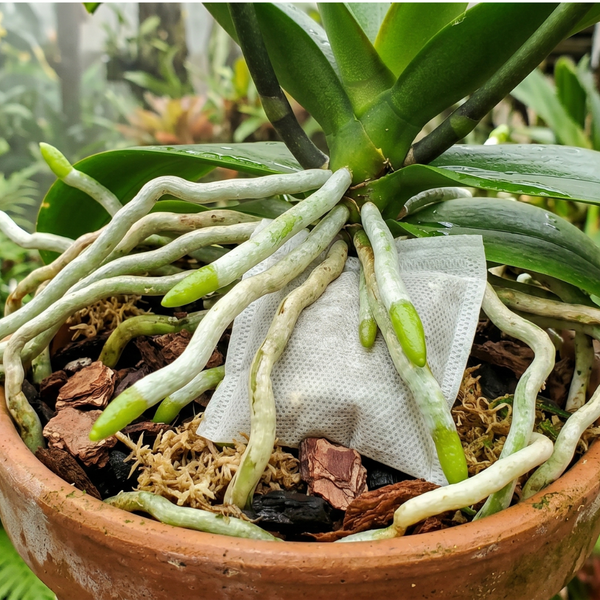 túi lọc sa thạch nhiệt luyện