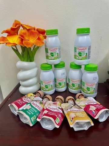 BABYBIO ĐỒNG HÀNH CÙNG MẸ THỦY 7 CON - TRAO QUÀ HỮU CƠ, LAN TỎA HÀNH TRÌNH NUÔI CON NHẸ NHÀNG
