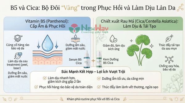 B5 và Cica: Bộ Đôi 