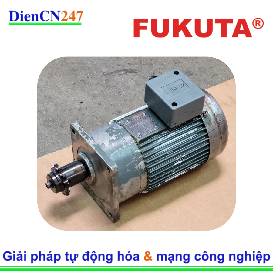 AEVF FUKUTA Motor | DienCN247