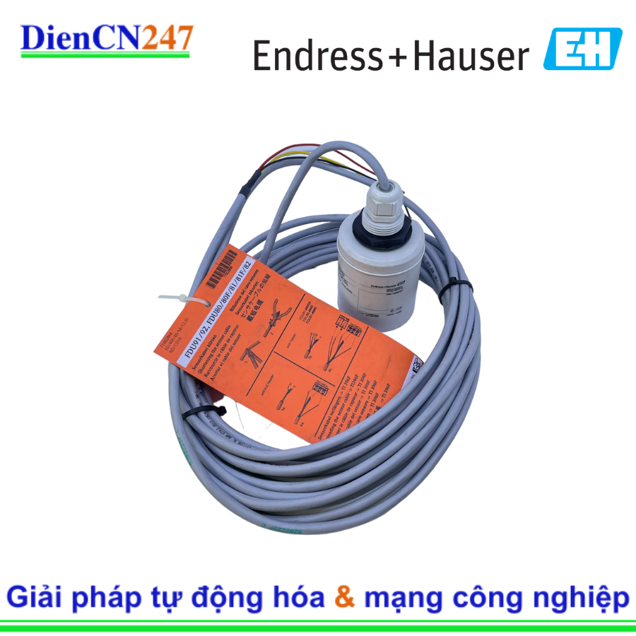 FDU91-RG2AA Endress Hauser | DienCN247