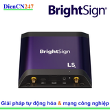 LS445 Brightsign | DienCN247