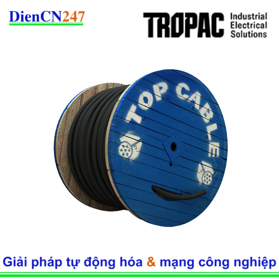 RVK03/2.5-500 TROPAC | DienCN247