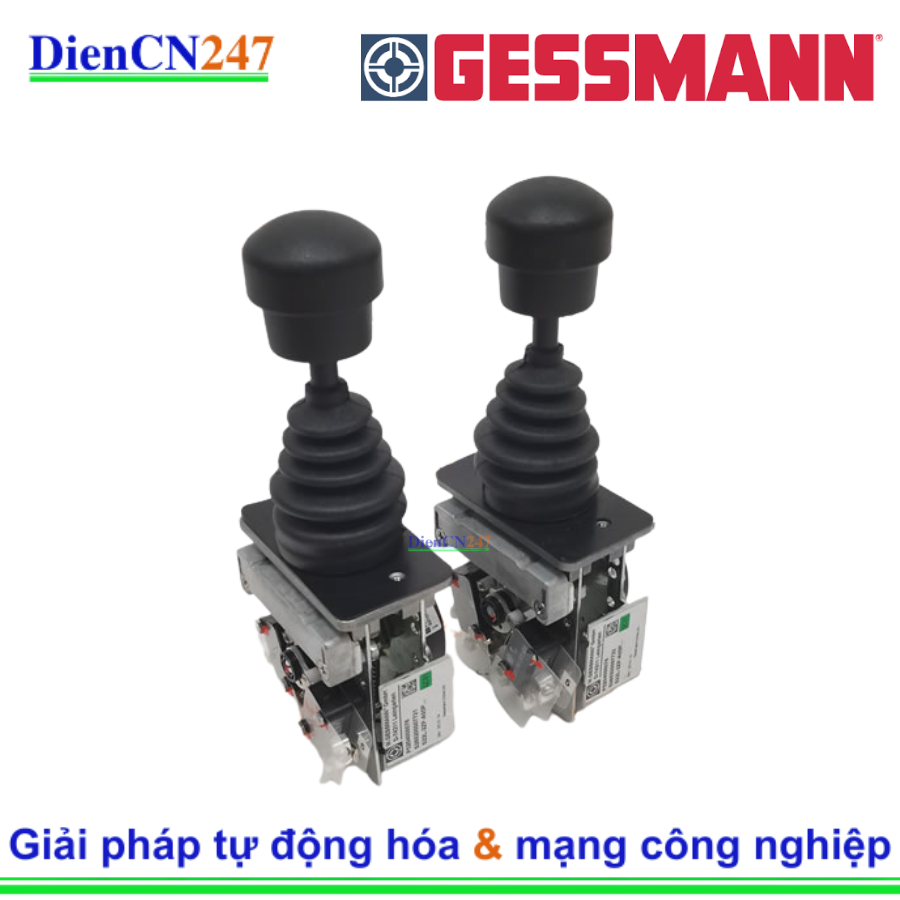 S22L-2ZP Gessmann | DienCN247