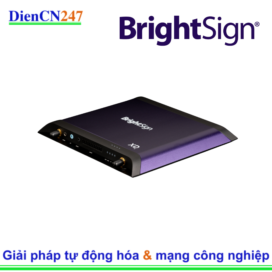 XD1036 BrightSign | DienCN247