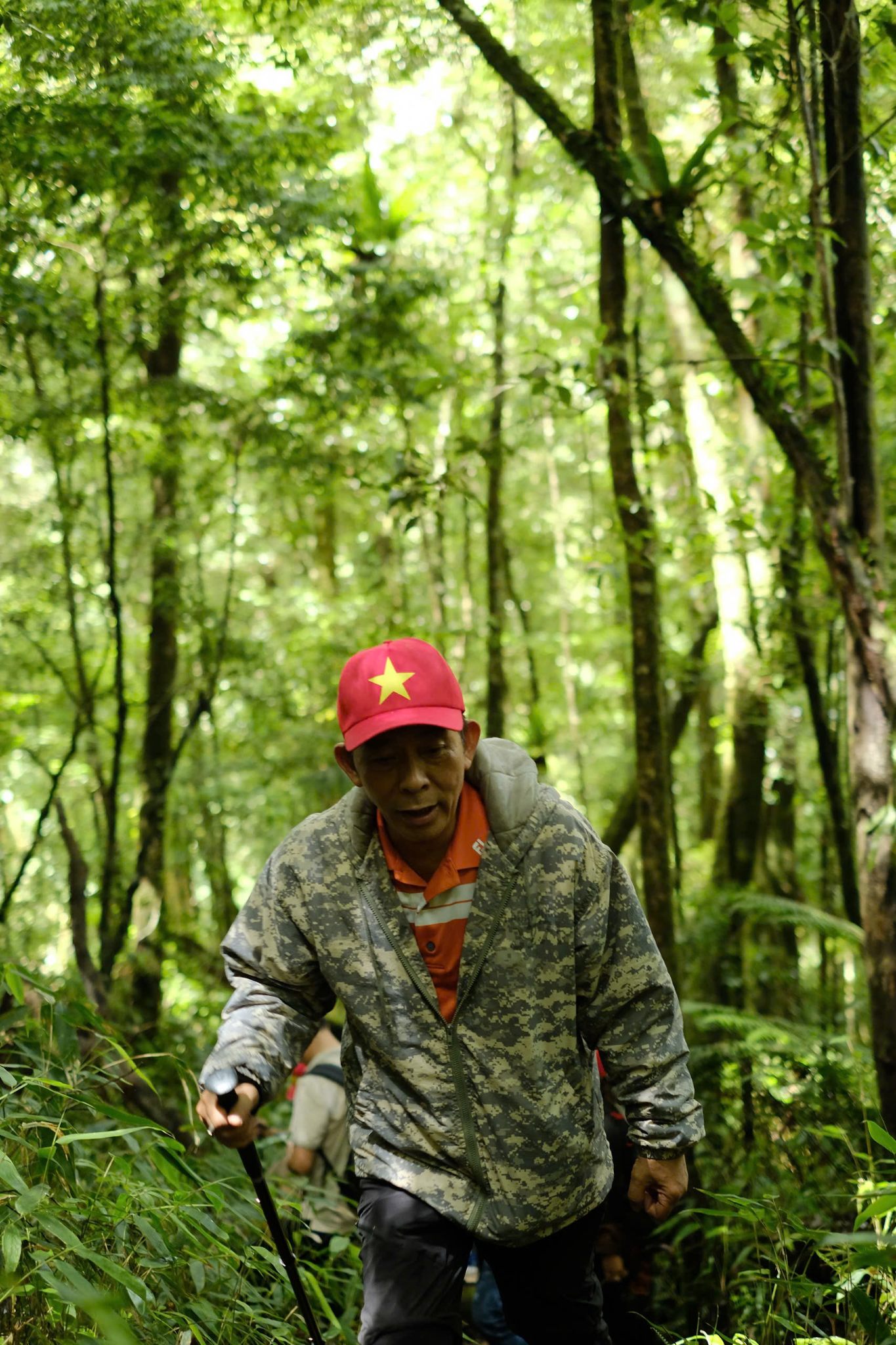 KHÁT VỌNG CỦA ÔNG CHỦ VƯỜN PANAX 1850: KHI BẢO VẬT QUỐC GIA KHÔNG CÒN LÀ GIẤC MƠ XA XỈ 🇻🇳💎