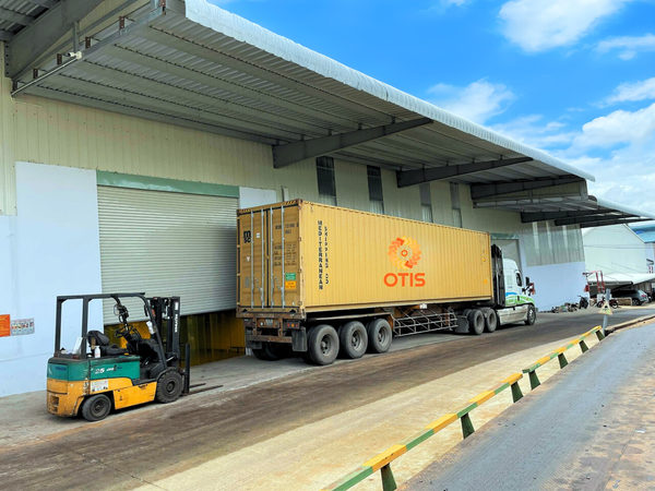 How to Import Cashew Nuts: Documentation, Pricing & Logistics