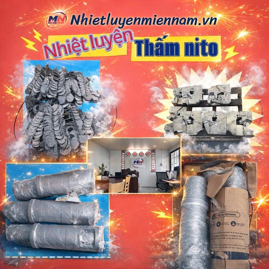 THẤM NITƠ LÀ GÌ?