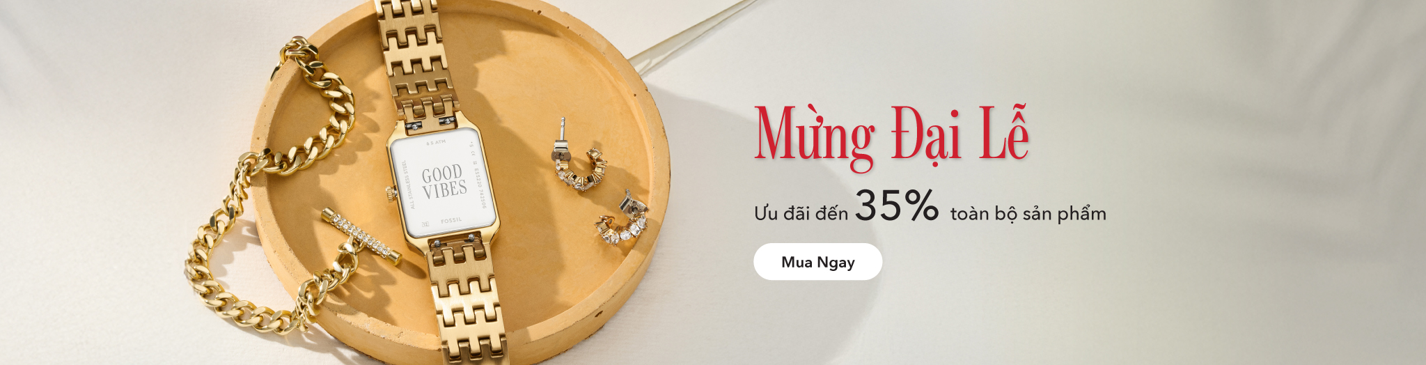 Tất cả sản phẩm Fossil