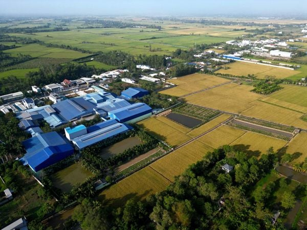Doanh Nghiệp Tư Nhân Hồ Quang Trí